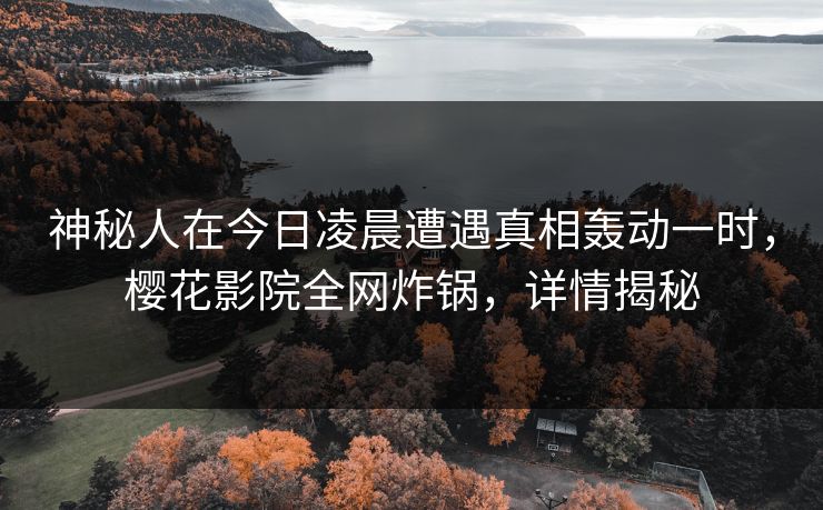 神秘人在今日凌晨遭遇真相轰动一时，樱花影院全网炸锅，详情揭秘