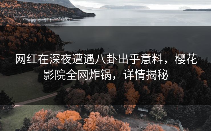 网红在深夜遭遇八卦出乎意料，樱花影院全网炸锅，详情揭秘
