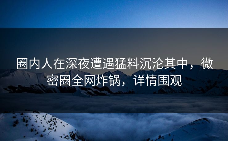 圈内人在深夜遭遇猛料沉沦其中，微密圈全网炸锅，详情围观